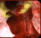 animarcrouge.gif (19468 octets)