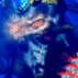 fenixprof.gif (5637 octets)