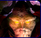 pscout.gif (28913 octets)